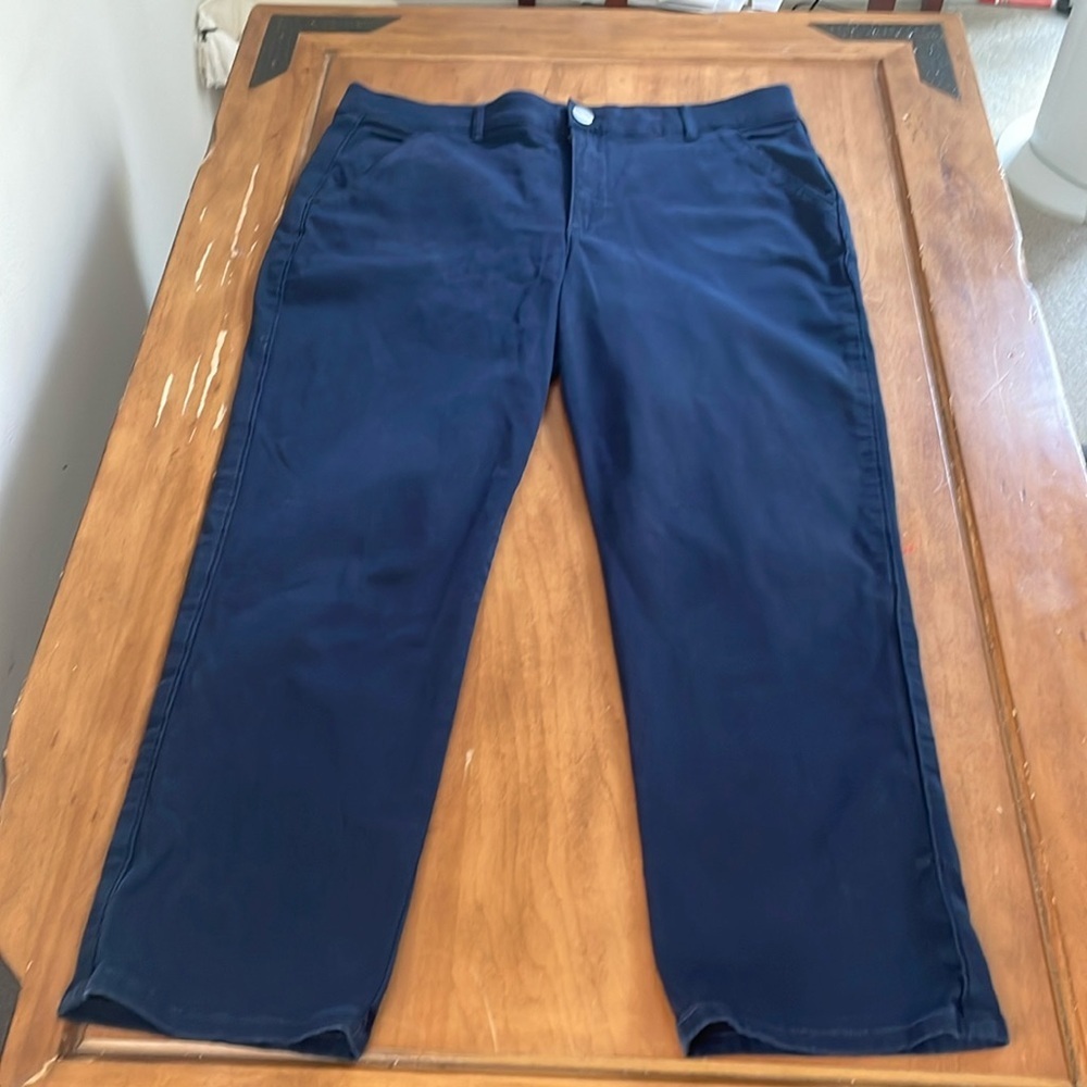 Democracy NWOT Ab Solution Pants Size 16